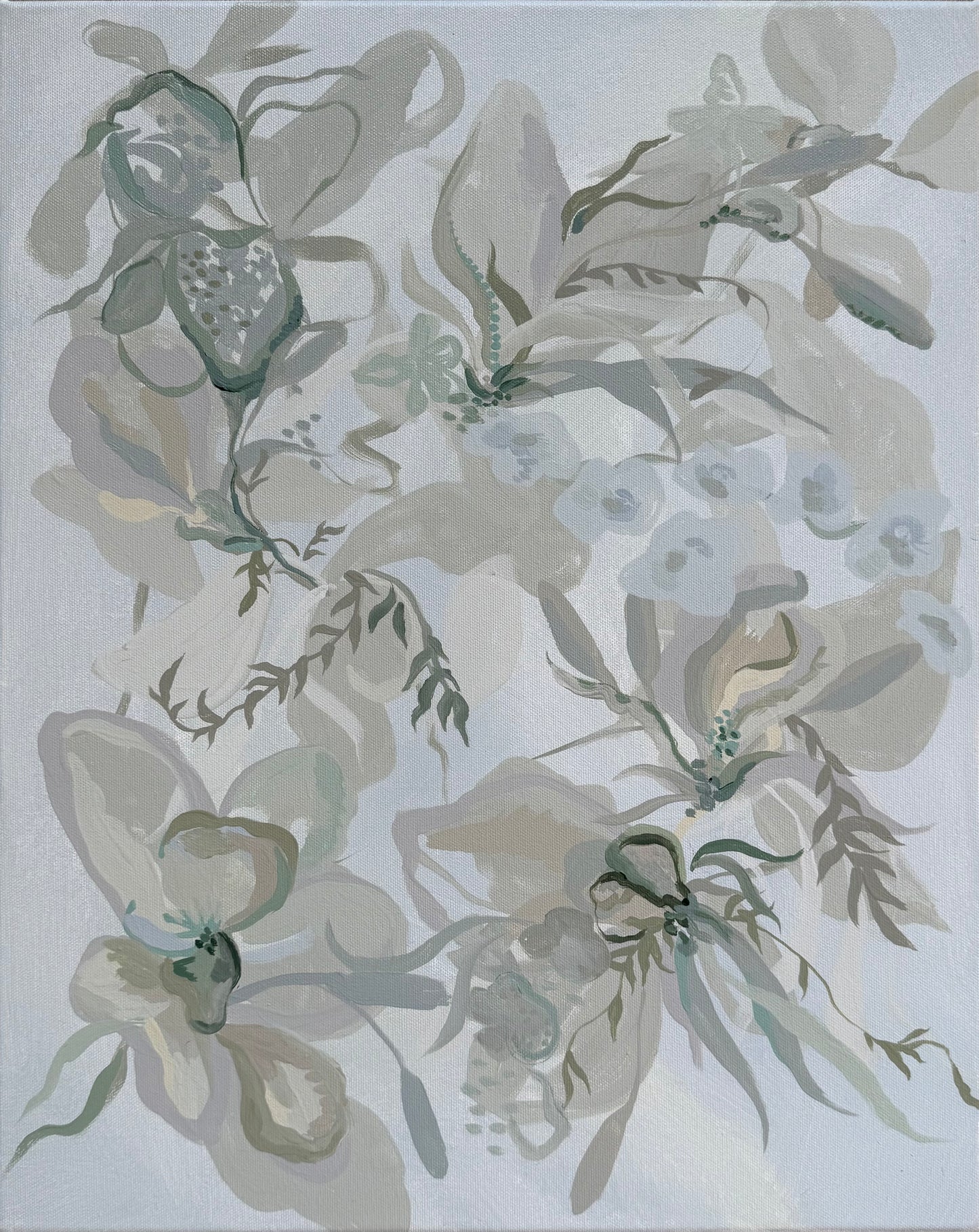 Misty Wild Ferns, 16 x 20